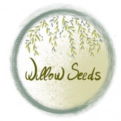 WillowSeedsJewels